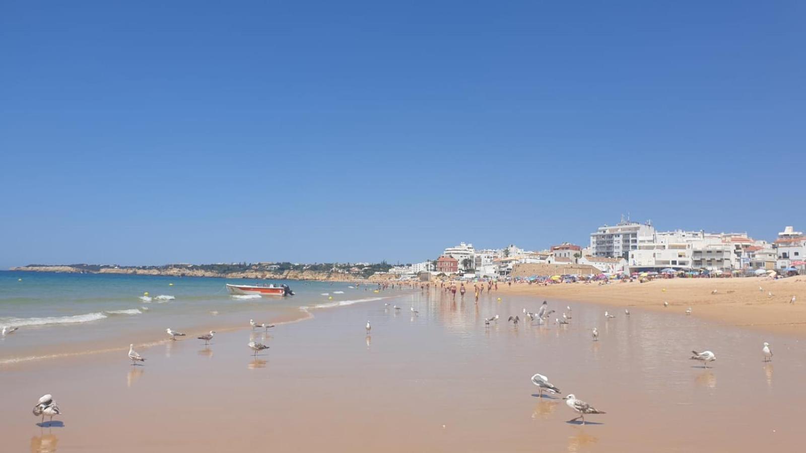 Villa Algarve Alcantarilha Ngoại thất bức ảnh